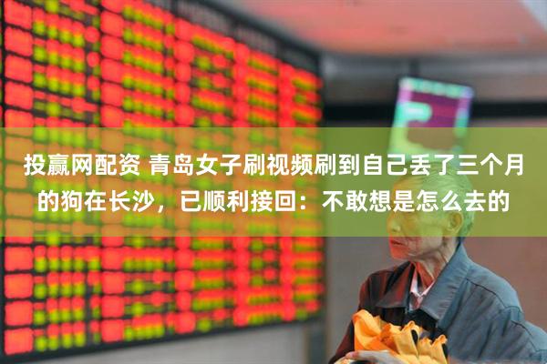投赢网配资 青岛女子刷视频刷到自己丢了三个月的狗在长沙，已顺利接回：不敢想是怎么去的