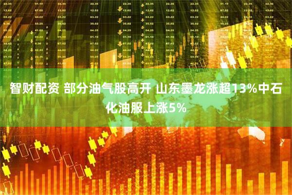 智财配资 部分油气股高开 山东墨龙涨超13%中石化油服上涨5%
